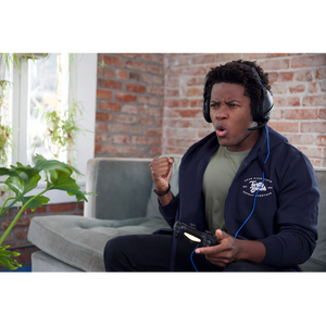 Stealth 300 Headset - PS4™